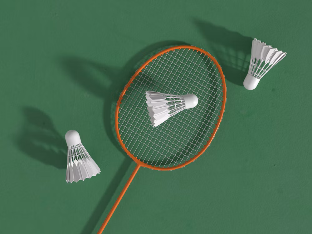 Racket and feather shuttlecocks